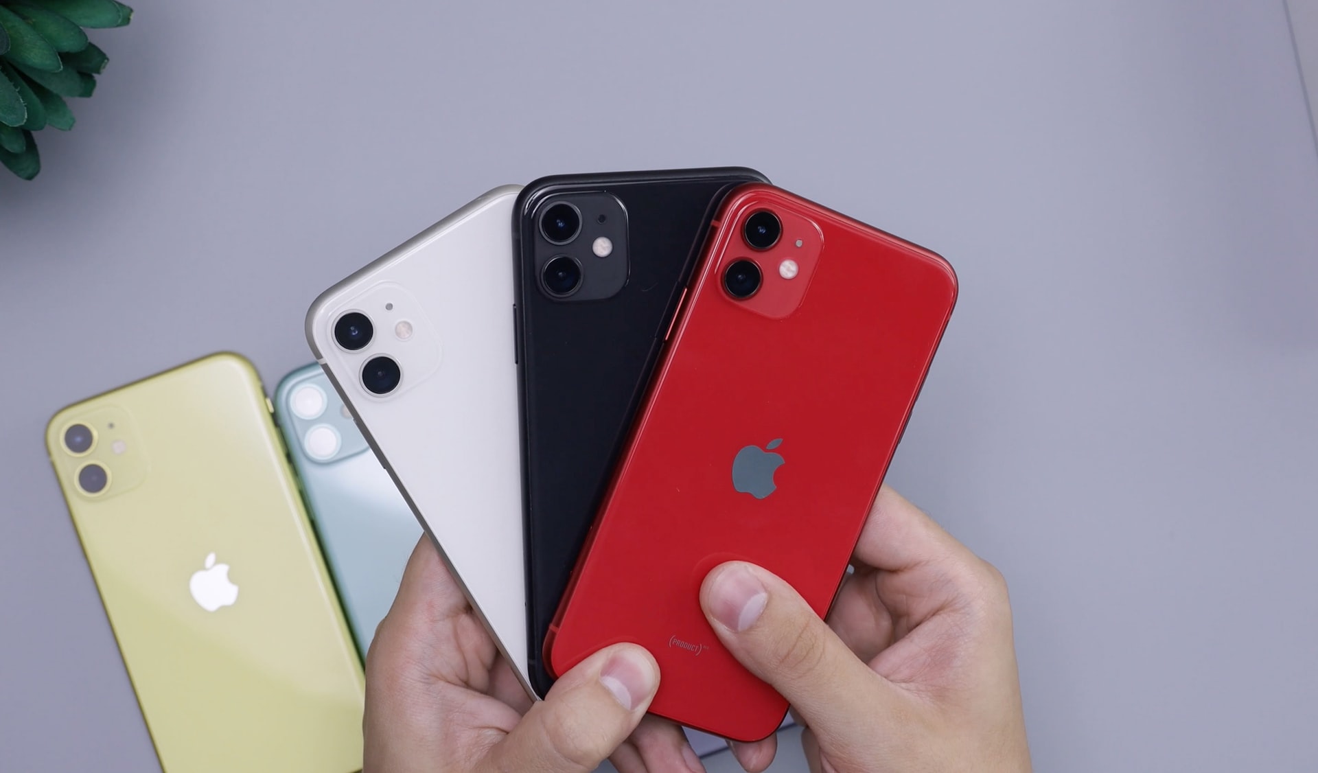 White, Black, & Red iPhone 11