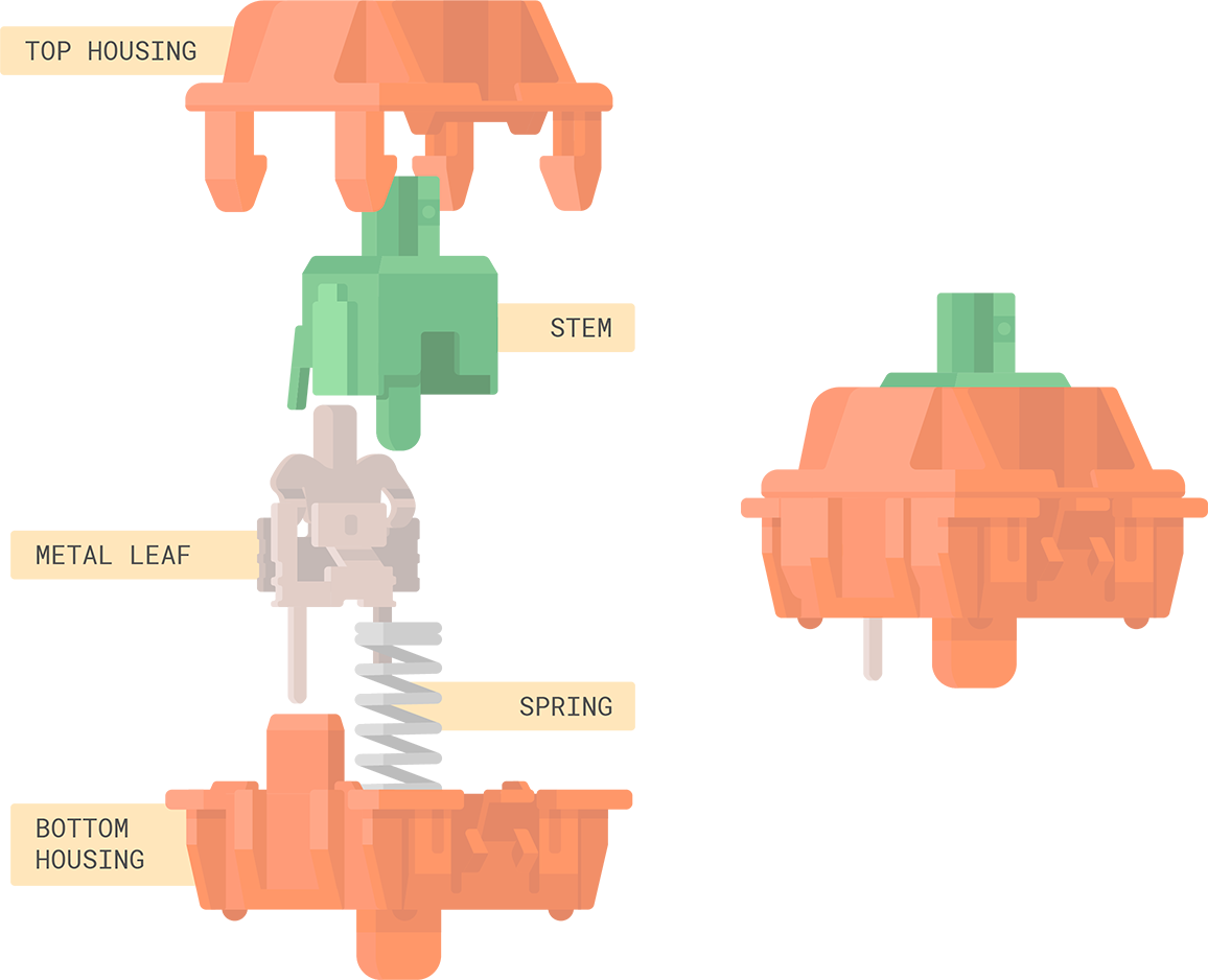 tangerine switches illustration