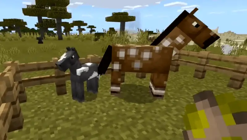What Do Horses Eat In Minecraft-baby horse