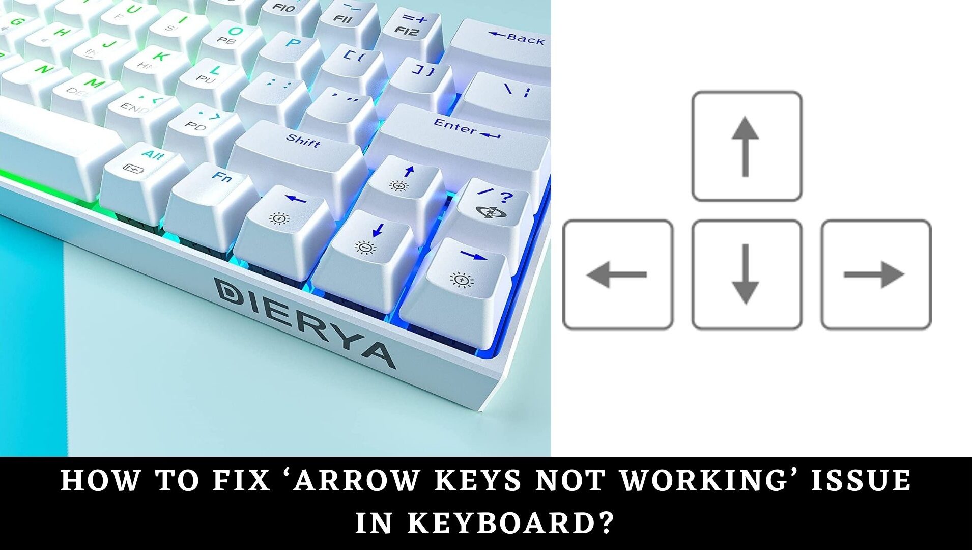 Arrow keys not working? I've fixed it with these methods TEKSBIT