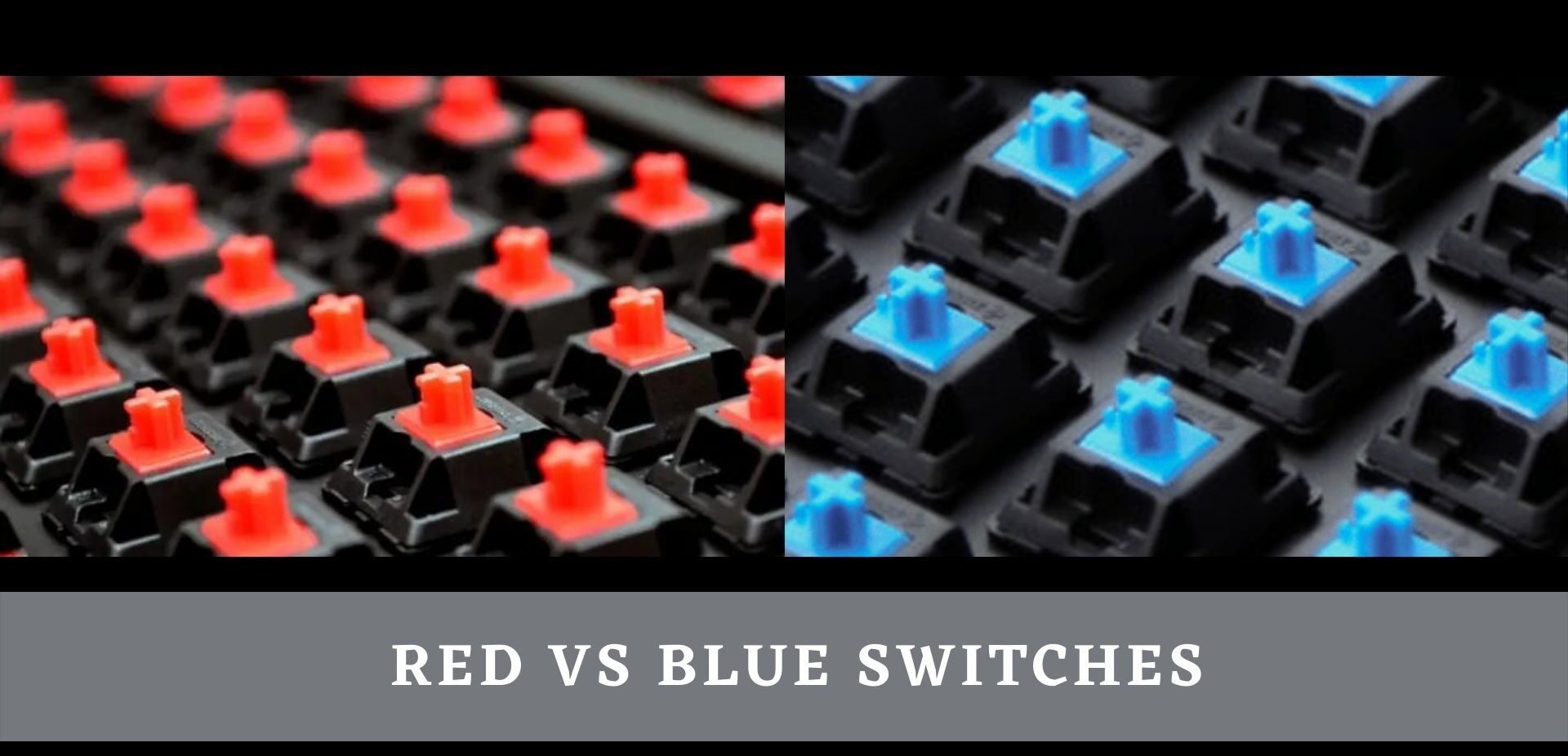 Red vs Blue Switches-2