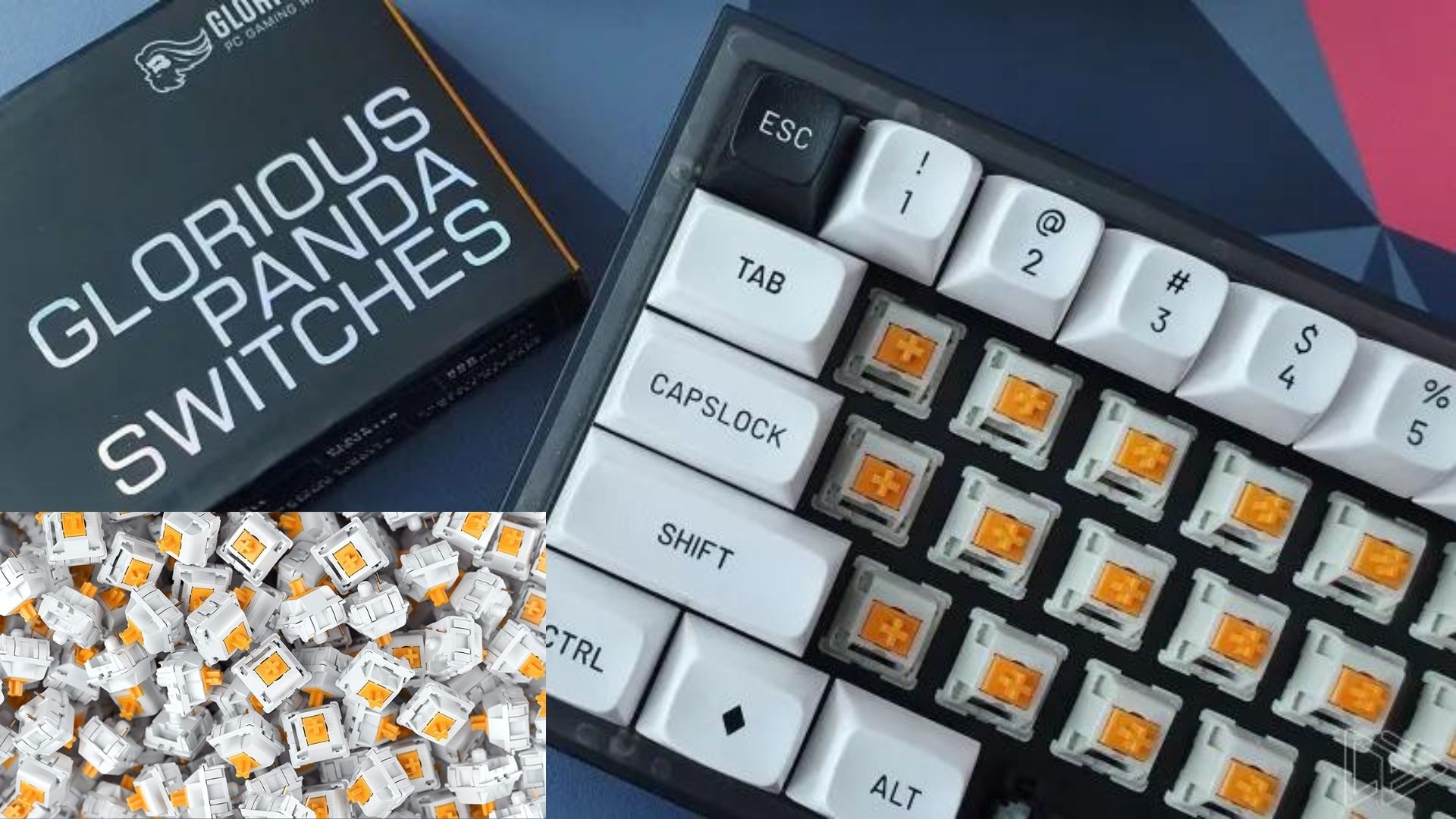 best tactile switches-glorious panda switches