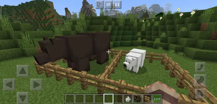can you tame a polar bear in minecraft-feed