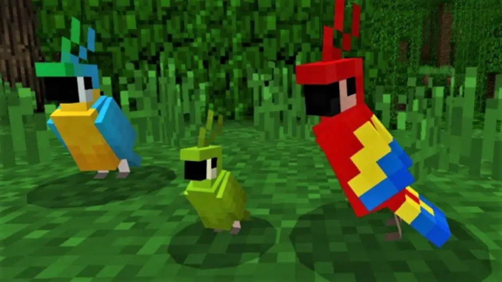 how to breed parrots in minecraft-1