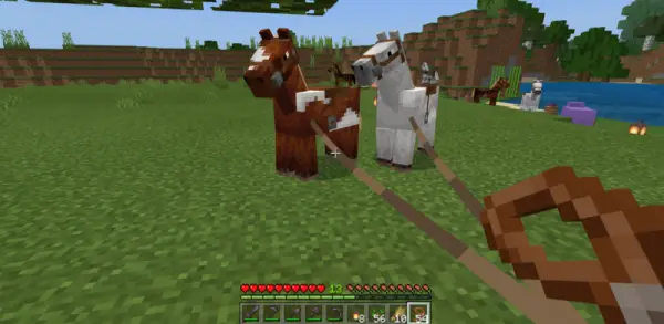 how to put a saddle on a horse in minecraft-1