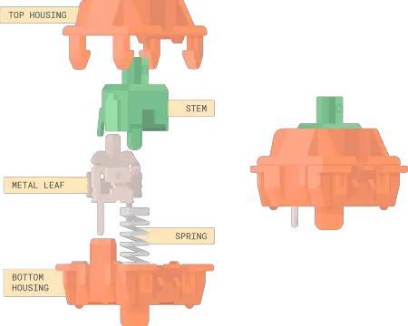 tangerine switches illustration